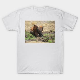 Baby Elephant having a mud bath T-Shirt